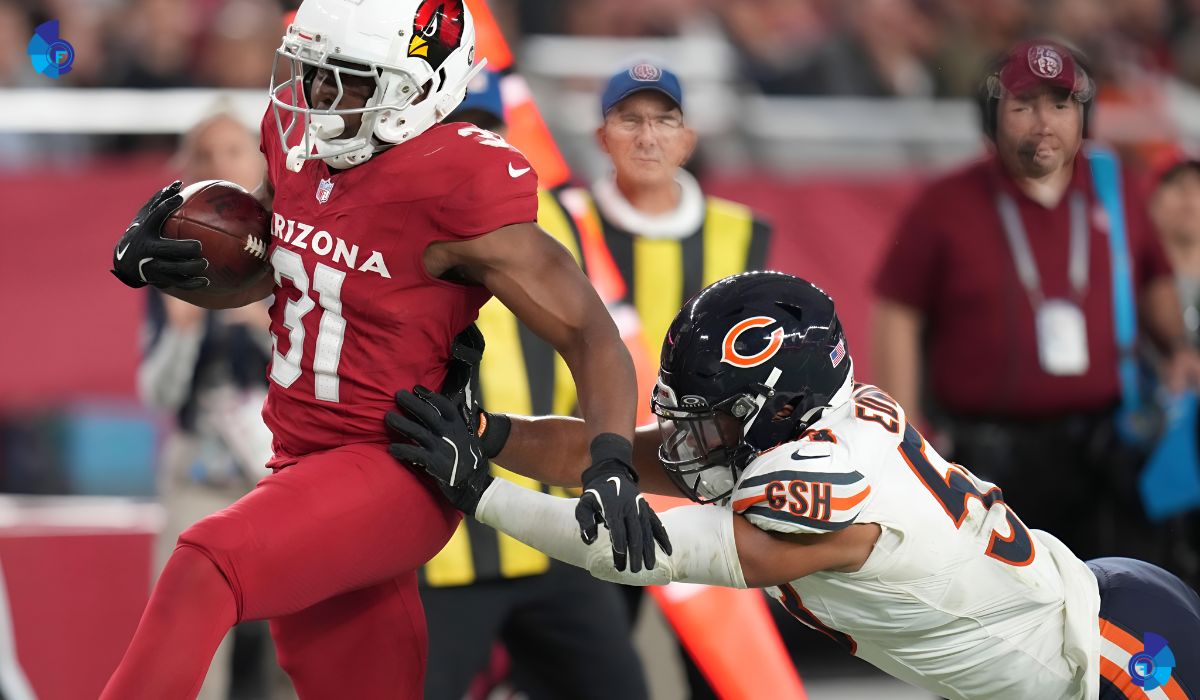 Chicago Bears vs Arizona Cardinals Match Player Stats