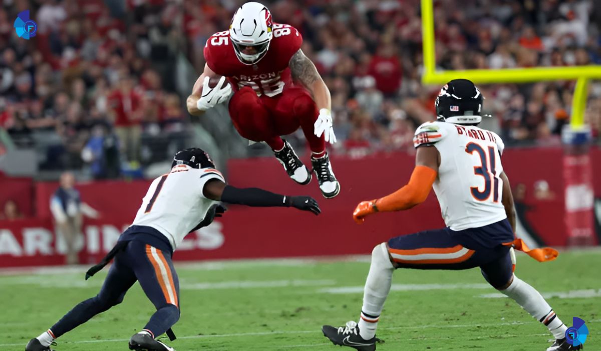 Chicago Bears vs Arizona Cardinals Match Player Stats