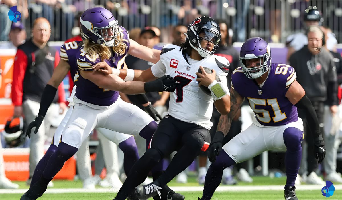 Houston Texans vs Minnesota Vikings Match Player Stats