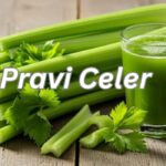 Pravi Celer