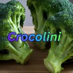 Crocolini