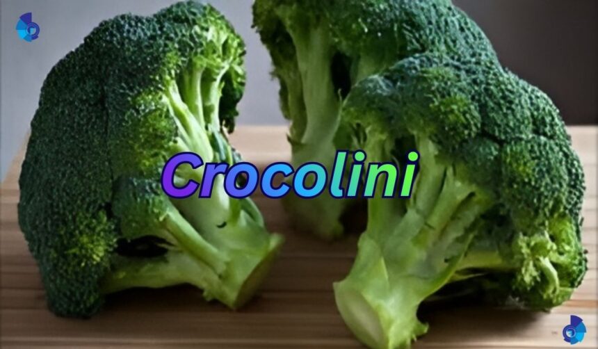 Crocolini
