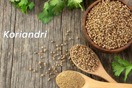 Koriandri