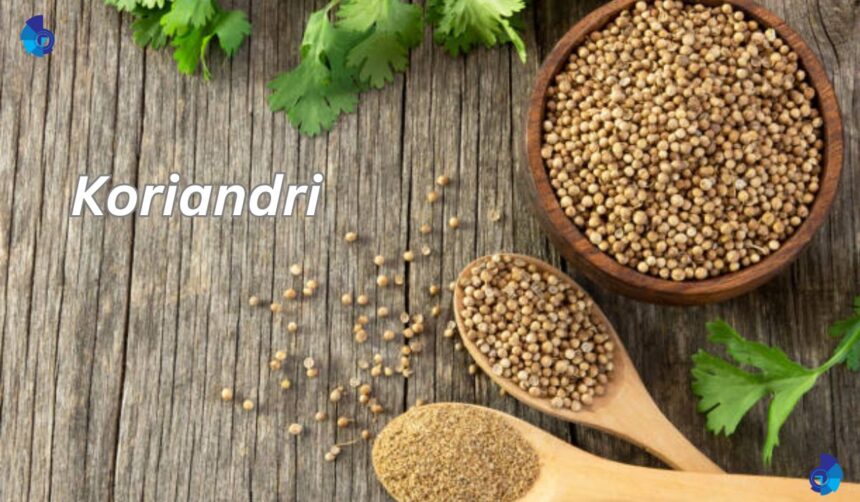 Koriandri