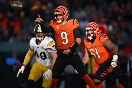 Bengals vs Pittsburgh Steelers Match Player Stats