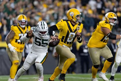 Green Bay Packers vs. Pittsburgh Steelers Match Player Stats